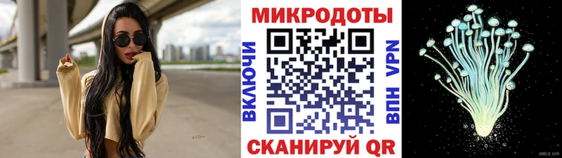 дарнет шоп  Благодарный  Галлюциногенные грибы Cubensis 
